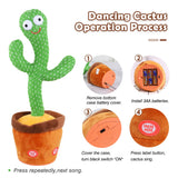 Net red dancing cactus learn to speak, twist, swing, interact, imitate
