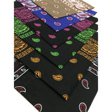 Unisex Paisley Set Multicolor Cowboy Bandana -Detail Picture