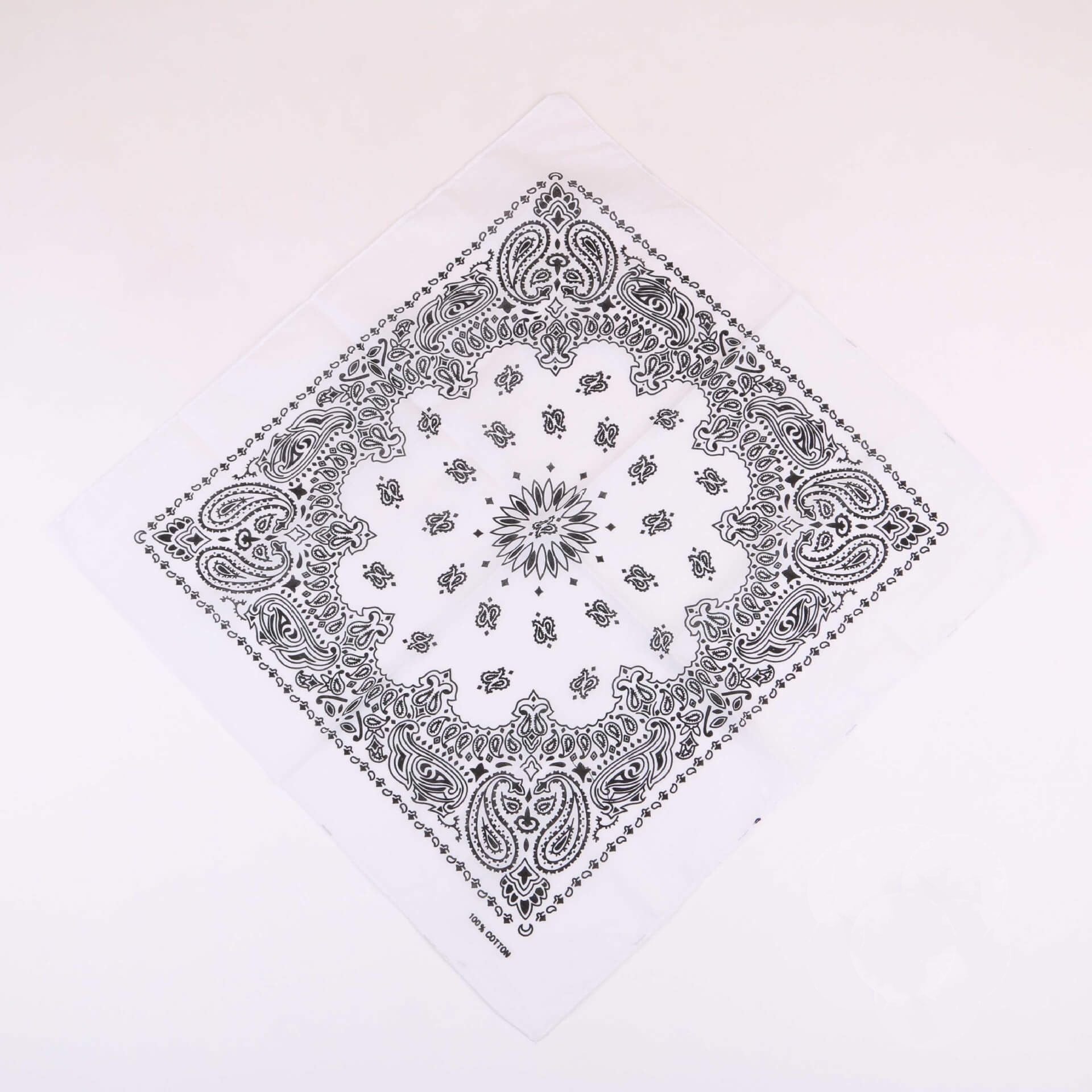 White-Classic Western Cotton Paisley bandana-Side Picture