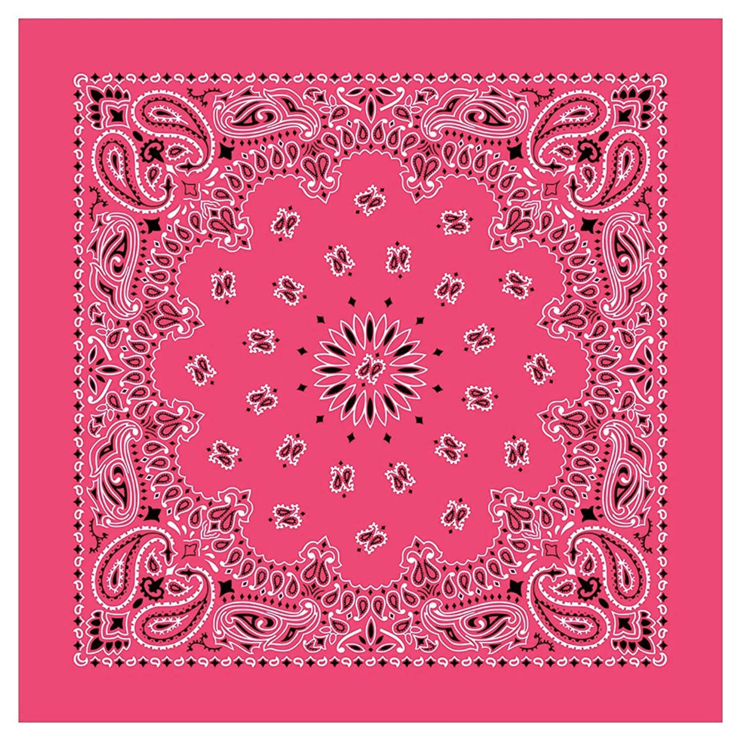 12 Piece Novelty Bandanas Paisley 100% Cotton Hearwear (22 inches x 22 inches)