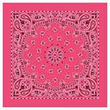 12 Piece Novelty Bandanas Paisley 100% Cotton Hearwear (22 inches x 22 inches)