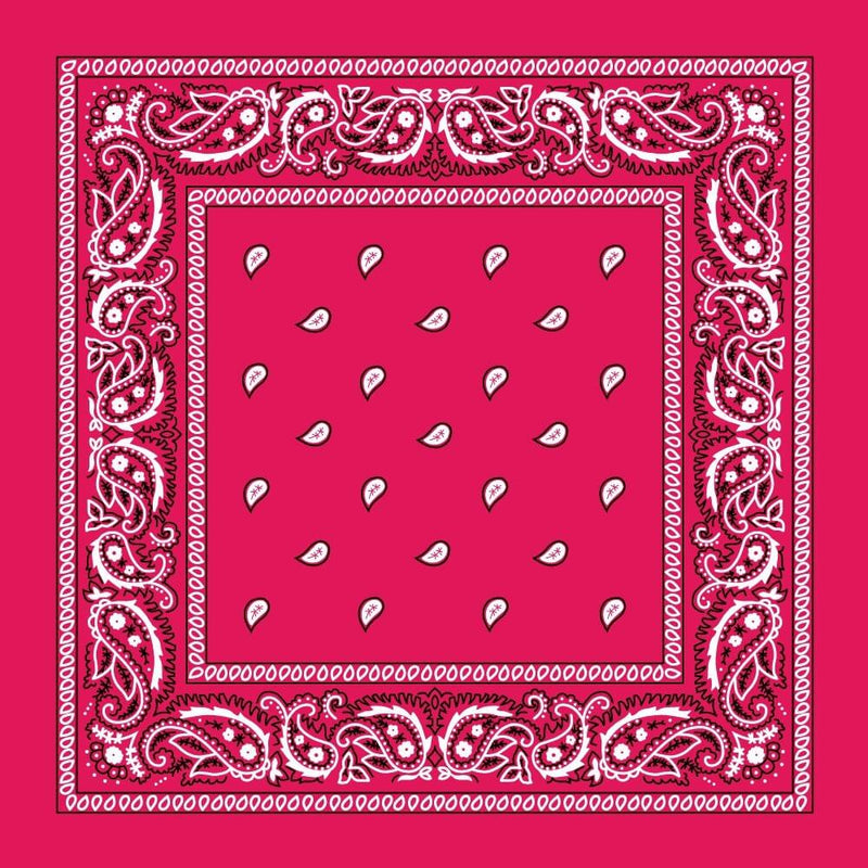 Cotton Bandana Multifunction Paisley Cowboy Handkerchiefs-Side Picture
