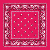 Cotton Bandana Multifunction Paisley Cowboy Handkerchiefs-Side Picture