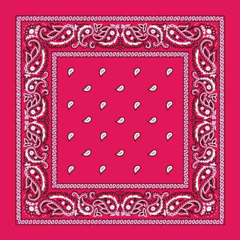 Cotton Bandana Multifunction Paisley Cowboy Handkerchiefs-Side Picture