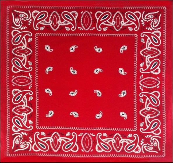 fashion paisley pocket square tie hip hop bandana-side picture