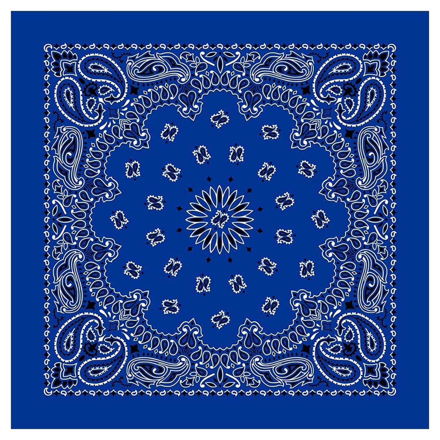 12 Piece Novelty Bandanas Paisley 100% Cotton Hearwear (22 inches x 22 inches)