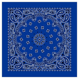 12 Piece Novelty Bandanas Paisley 100% Cotton Hearwear (22 inches x 22 inches)