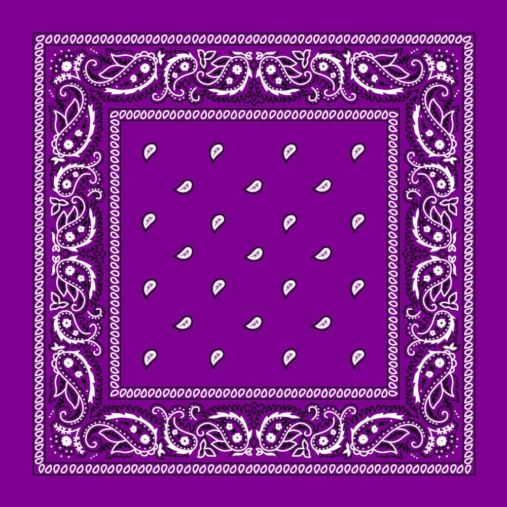 12 Pack Cotton Bandana Paisley Headbands Cowboy Multi-Color Bandana Handkerchiefs