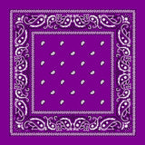 12 Pack Cotton Bandana Paisley Headbands Cowboy Multi-Color Bandana Handkerchiefs