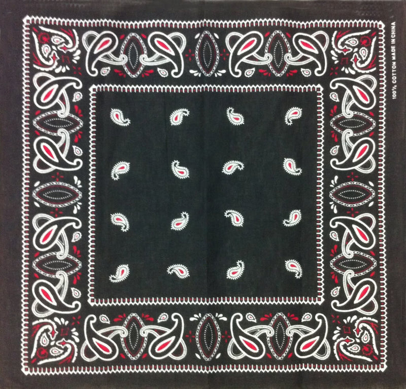 fashion paisley pocket square tie hip hop bandana-side picture