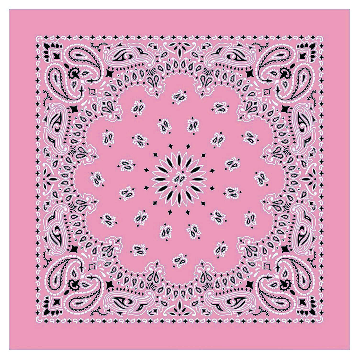 12 Piece Novelty Bandanas Paisley 100% Cotton Hearwear (22 inches x 22 inches)