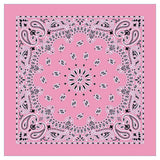 12 Piece Novelty Bandanas Paisley 100% Cotton Hearwear (22 inches x 22 inches)