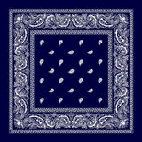 Cotton Bandana Multifunction Paisley Cowboy Handkerchiefs-Side Picture