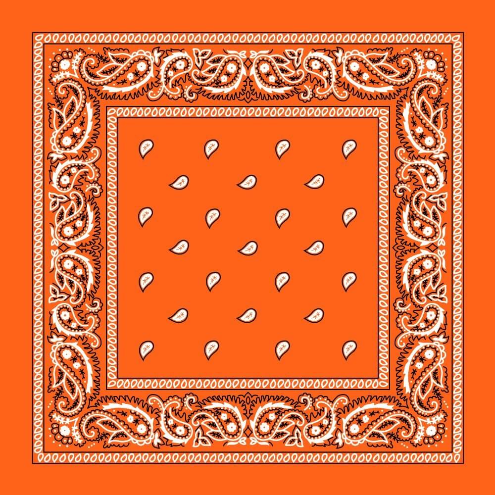 Cotton Bandana Multifunction Paisley Cowboy Handkerchiefs-Side Picture