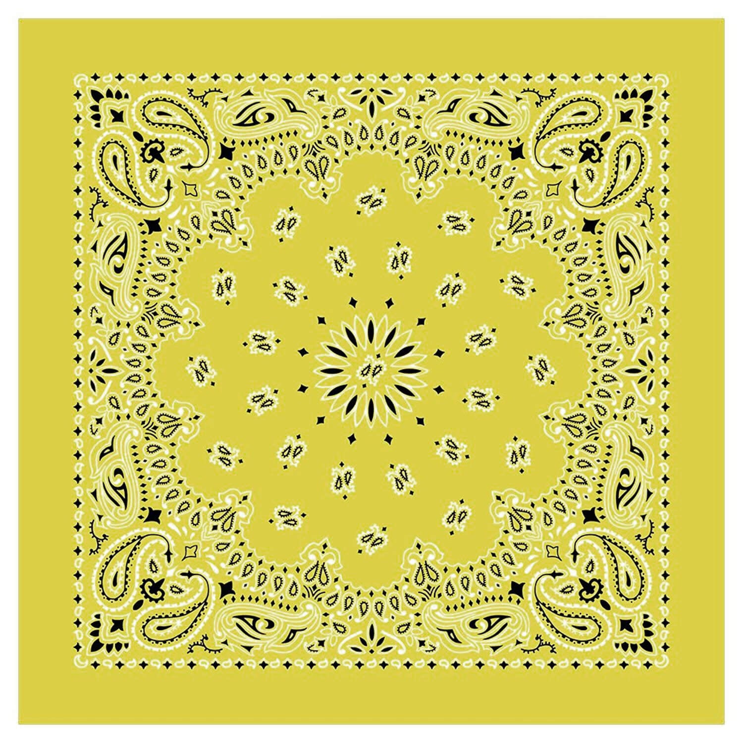 12 Piece Novelty Bandanas Paisley 100% Cotton Hearwear (22 inches x 22 inches)