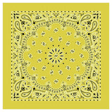 12 Piece Novelty Bandanas Paisley 100% Cotton Hearwear (22 inches x 22 inches)