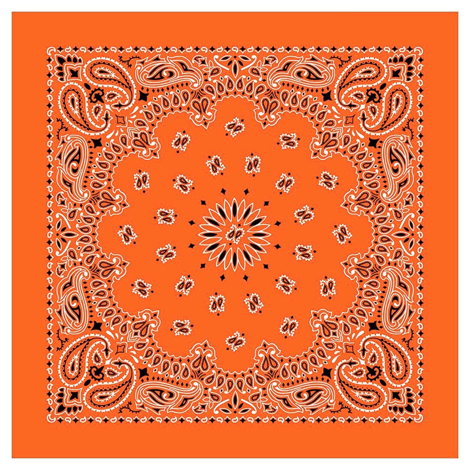 12 Piece Novelty Bandanas Paisley 100% Cotton Hearwear (22 inches x 22 inches)