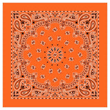 12 Piece Novelty Bandanas Paisley 100% Cotton Hearwear (22 inches x 22 inches)