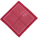 Unisex Retro Art Polka dot Bandana Scarf Wristband-Side Picture