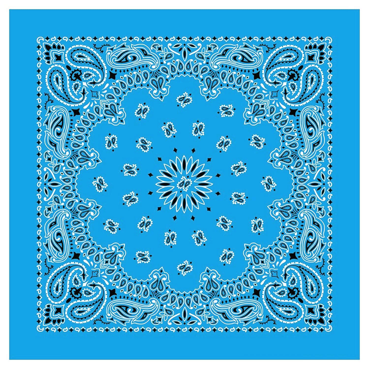 12 Piece Novelty Bandanas Paisley 100% Cotton Hearwear (22 inches x 22 inches)