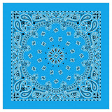 12 Piece Novelty Bandanas Paisley 100% Cotton Hearwear (22 inches x 22 inches)
