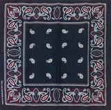 fashion paisley pocket square tie hip hop bandana-side picture