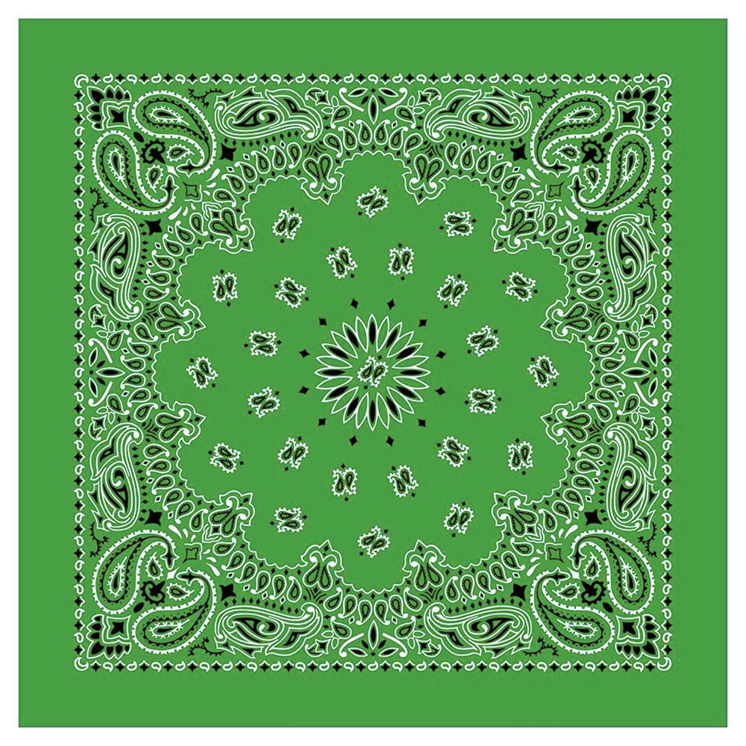 12 Piece Novelty Bandanas Paisley 100% Cotton Hearwear (22 inches x 22 inches)