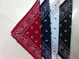 fashion paisley pocket square tie hip hop bandana-side picture