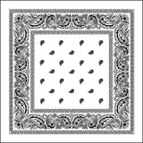 Cotton Bandana Multifunction Paisley Cowboy Handkerchiefs-Side Picture