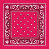 Cotton Bandana Multifunction Paisley Cowboy Handkerchiefs-Side Picture