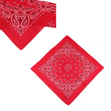 Red-Classic Western Cotton Paisley bandana-Detail Picture
