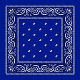 Cotton Bandana Multifunction Paisley Cowboy Handkerchiefs-Side Picture